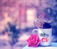 Tử vi 12 Con giáp thứ ba ngày 09/02/2016