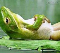 Bằng lòng với cuộc sống