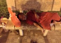 Chỉ một ly sữa tươi cho cậu bé, cô gái đã thay đổi số phận đời mình