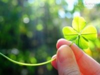 Điểm danh 3 con giáp may mắn nhất tháng 2