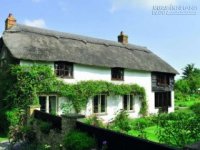 Đoán tính cách qua ngôi nhà yêu thích