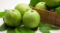 Quả ổi – khắc tinh của hợp chất gây ung thư có trong thực phẩm