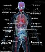 20 điều kinh khủng xảy ra khi bạn chỉ uống thêm 1 chén rượu