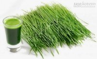 2 cách phòng tránh sốt mọc răng cực hay áp dụng cho bé 3 tháng 10 ngày tuổi