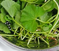 Nguy hại của những loại rau nhà bạn vẫn ăn hằng ngày