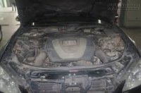 Người phụ nữ chết lặng phát hiện sự thật âm thanh lạ trên mui xe của mình