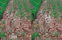 Đoạn video hại não nhất thế giới là đây