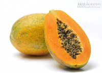 Ăn đu đủ thường xuyên thì có uống rượu bia như ma men cũng không sợ