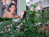 Bài thuốc Đánh bay thoái hóa đốt sống cổ bằng nước lá cây mật gấu pha với…bia