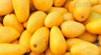 Loại quả phổ biến ở Việt Nam chứa hợp chất chống ung thư