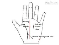 Đoán khả năng nhảy việc qua đường chỉ tay Sự nghiệp (P1)