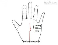 Đoán khả năng nhảy việc qua đường chỉ tay Sự nghiệp (P2)