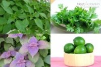 Xông mặt bằng kinh giới, tía tô, ngải cứu da trắng mịn gấp 100 lần đi spa