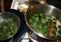 Trị đủ loại bệnh dạ dày khỏi không tái phát ít ai ngờ chỉ bằng vị thuốc có nhiều ở Việt Nam