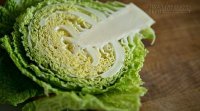 Phòng chống đủ loại ung thư chỉ bằng cách ăn rau bắp cải