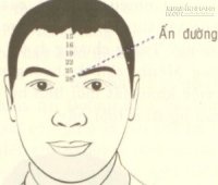 Vận số qua khoảng cách 2 đầu lông mày