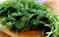 Rau thì là, không chỉ đơn giản là rau thơm