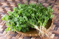 7 loại rau thơm nổi tiếng phòng, chữa bách bệnh