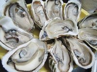 Nguy hại chết người khi ăn món hàu sống để bổ dương