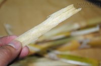 Mẹ khiến con sốt cả tháng trời không vì nguyên do này
