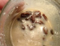 12 trái nho khô và sữa còn tốt hơn chục viên Viagra