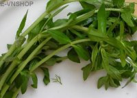 Chữa sỏi thận bằng 2 bài thuốc dân gian dễ thực hiện