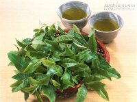Chữa đau lưng bằng 5 phương pháp tự nhiên không tái phát