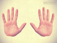 Tìm hiểu mối liên hệ giữa các ngón tay trong một bàn tay