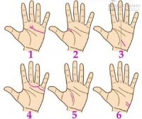 Xem bói chỉ tay để biết tài phú và thành công trên bàn tay bạn