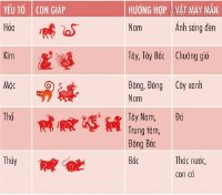 Biết cách hoá giải xung khắc này thì các cặp đôi hay vợ chồng sẽ hạnh phúc suốt đời
