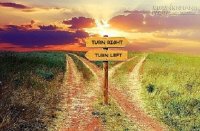 Những câu nói hay giúp chúng ta lựa chọn cách sống cho riêng mình