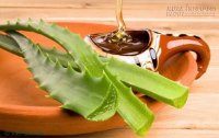 Công thức thần kỳ giúp hàng nghìn người ung thư thoát khỏi lưỡi hái tử thần