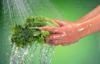 Mẹo nhỏ hiệu quả cao giúp rau quả không còn tí thuốc trừ sâu nào