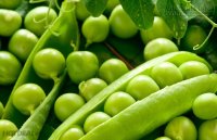 Những loại rau củ quả ít thuốc trừ sâu nhất bạn có thể an tâm khi ăn