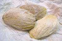 Hạt xoài và những lợi ích cho sức khỏe