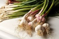 10 thực phẩm mùa xuân tốt cho sức khỏe bạn nên ăn
