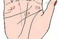 Những đường chỉ tay tiết lộ bạn là tỉ phú