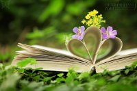 Không thân không thích, hà cớ chi người ta phải dốc lòng dạy dỗ bạn?