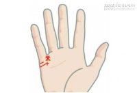 5 kiểu đường duyên vận tiết lộ hôn nhân viên mãn