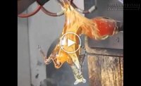 Kỹ thuật làm con ngựa bằng thủy tinh khiến bạn phải há hốc mồm vì ngạc nhiên