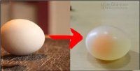 Tự chế bóng dẻo như cao su từ trứng siêu ảo diệu