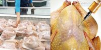 Sự thật kinh khủng ít biết khiến tín đồ thịt gà giật mình