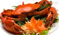 Cua biển bổ khí huyết, ích xương tủy