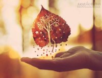 Vì lòng người là giấy thôi nên xin đừng thử lửa