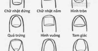 8 hình dạng móng tay tố cáo tính cách thật sự của chủ nhân