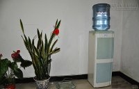 Khéo đặt bình uống nước, tài lộc gia tăng không ngừng