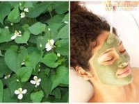 Kinh nghiệm sạch mụn, trắng da cấp tốc sau 2 tuần với mặt nạ diếp cá