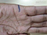 Xem bói chỉ tay bộc lộ tình duyên và tiền tài của bạn