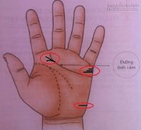 Nữ có chỉ tay như vầy thì tỉ lệ lấy chồng giàu là rất cao