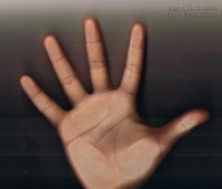 Xem chỉ tay luận tướng những người giàu sang